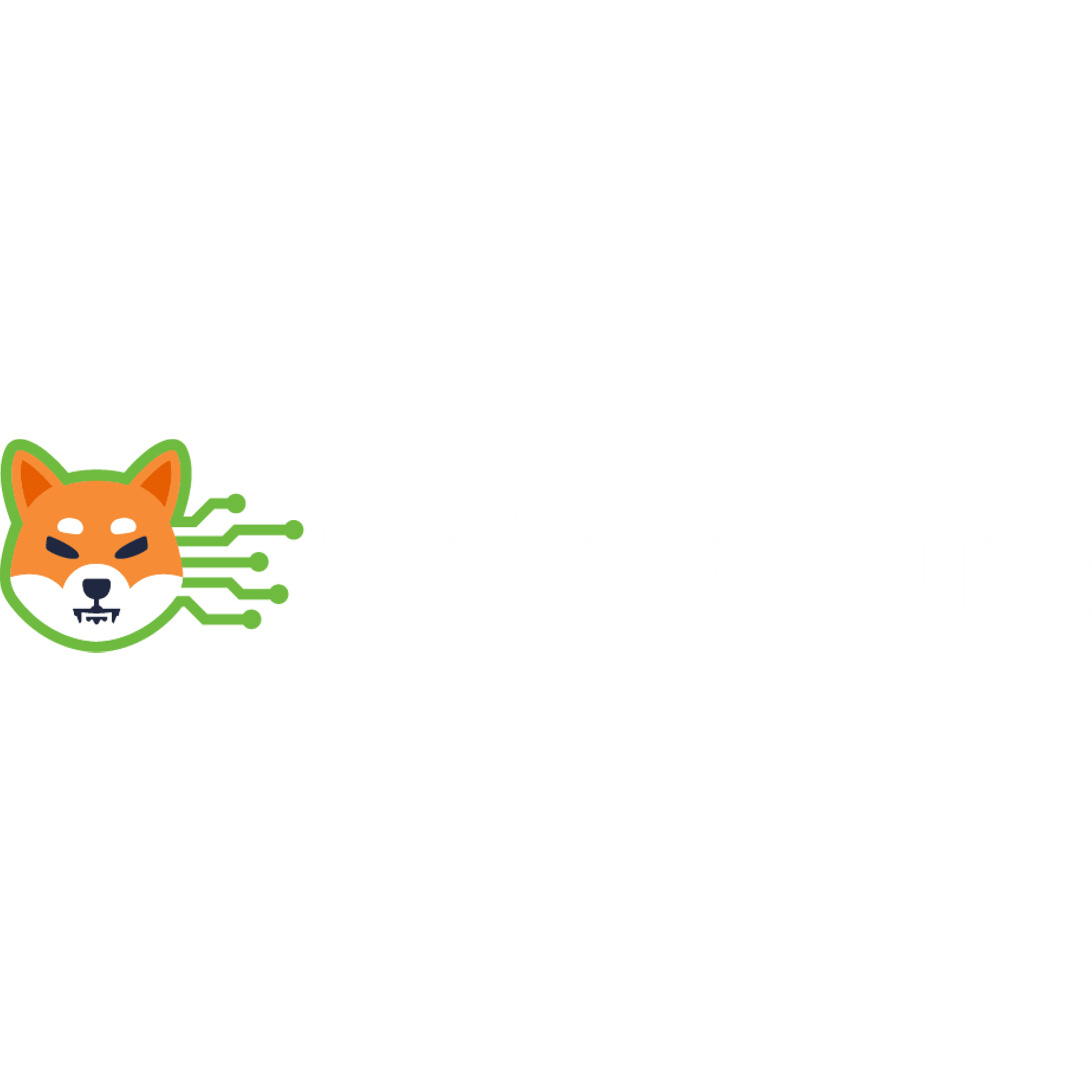 Shibarium Beta
